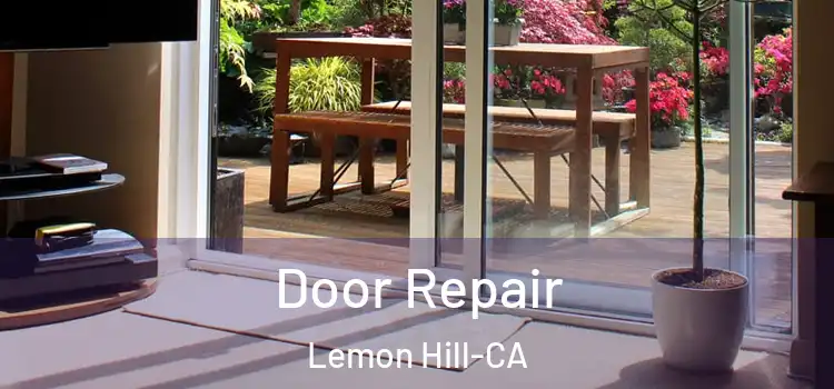  Door Repair Lemon Hill-CA