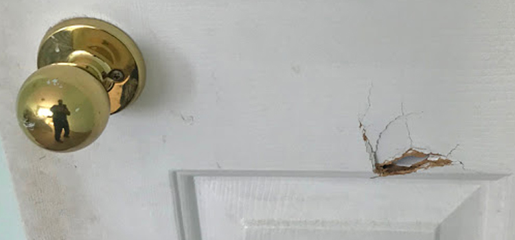 interior door hole repair Lemon Hill
