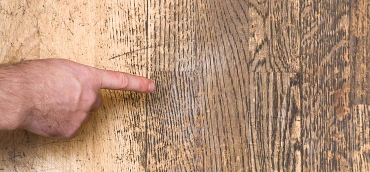 Wood Door Scratch Repair in Lemon Hill